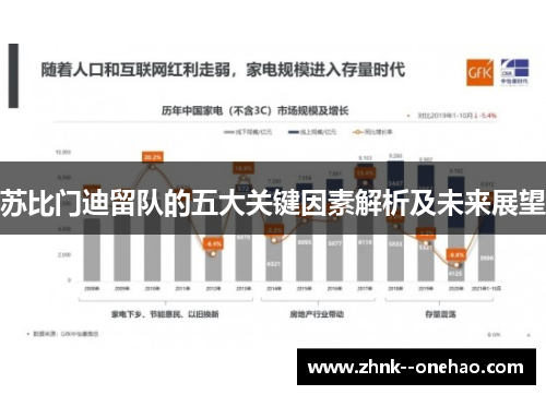 苏比门迪留队的五大关键因素解析及未来展望