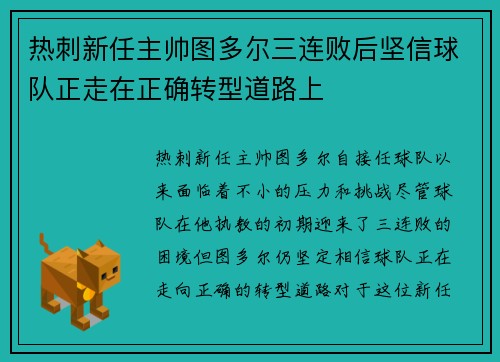 热刺新任主帅图多尔三连败后坚信球队正走在正确转型道路上
